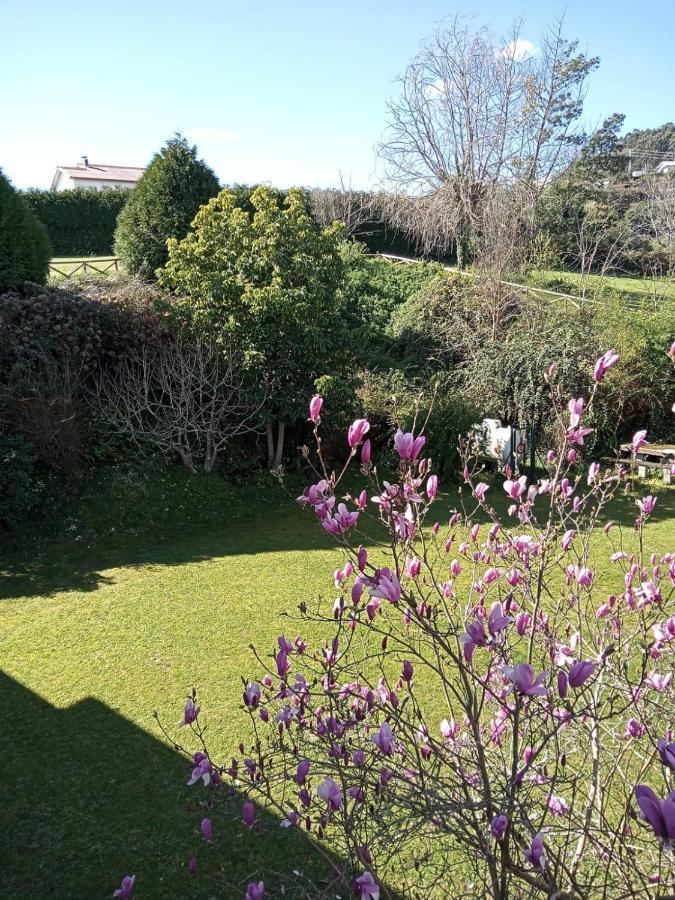 Hostal San Cristobal - Pontedeume Экстерьер фото