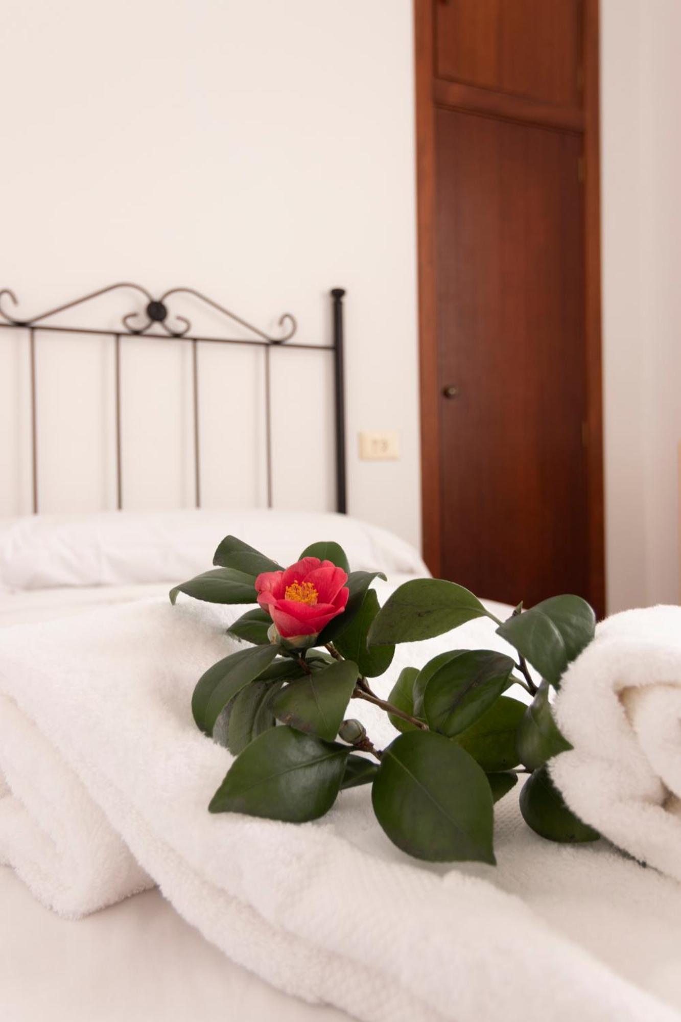 Hostal San Cristobal - Pontedeume Экстерьер фото